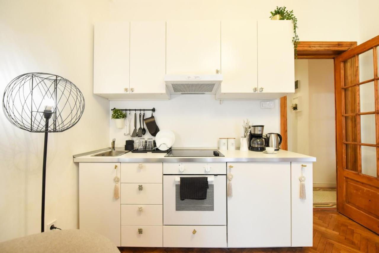 Vintage Elegance, Modern Comfort: 1Br Apartment Overlooking Calea Victoriei Bucharest Luaran gambar